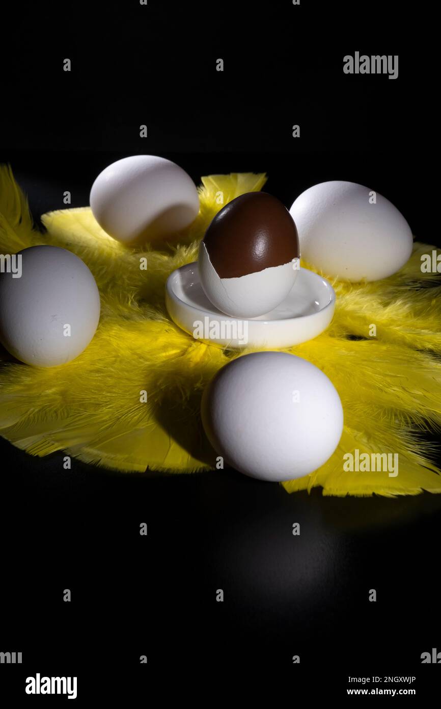 Helsinki / Finlande - 19 FÉVRIER 2023 : cuisine finlandaise traditionnelle - œufs de pâques au nougat, enrobés de chocolat, pondus de plumes jaunes. Banque D'Images