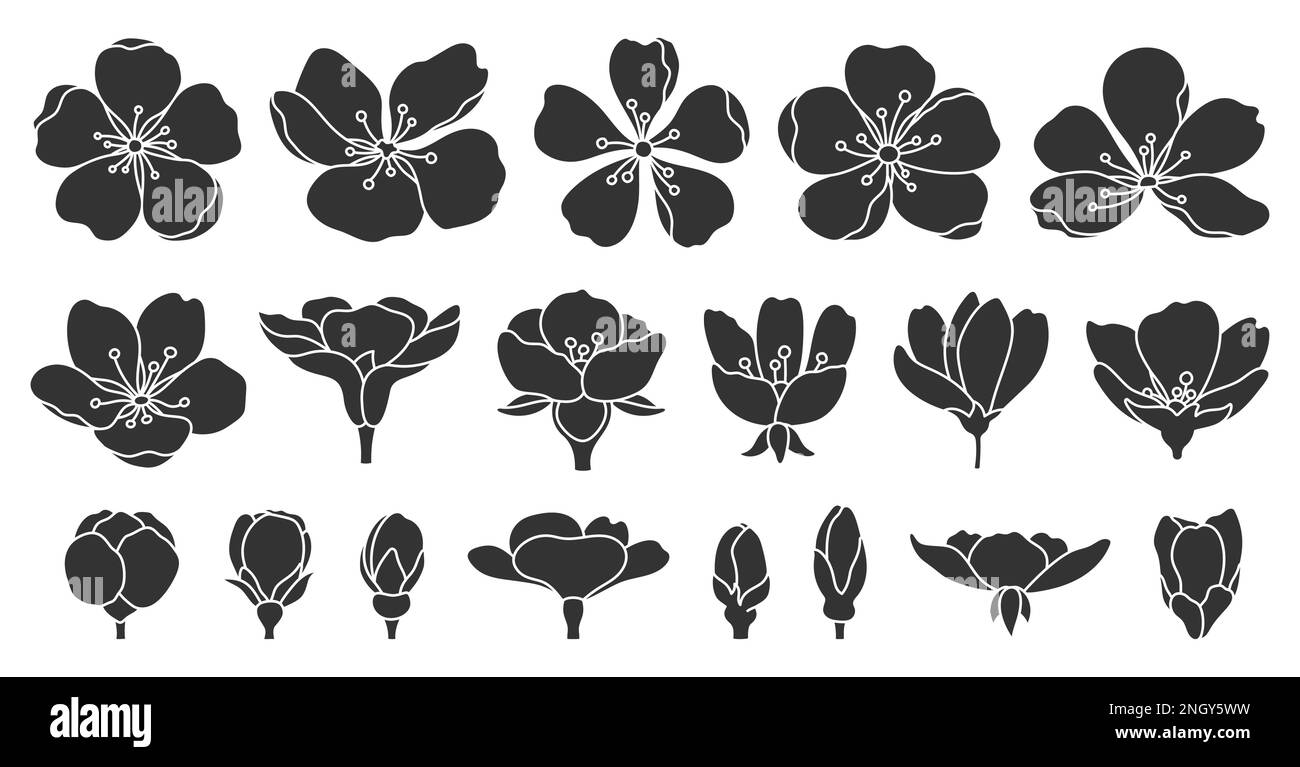 Ensemble de silhouette noire de fleur de cerisier Sakura. Saisonnier oriental décor timbre imprimé glyphe stencil plante floraison symbole chinois japonais main dessiner élément floraison printemps été botanique isolé Illustration de Vecteur