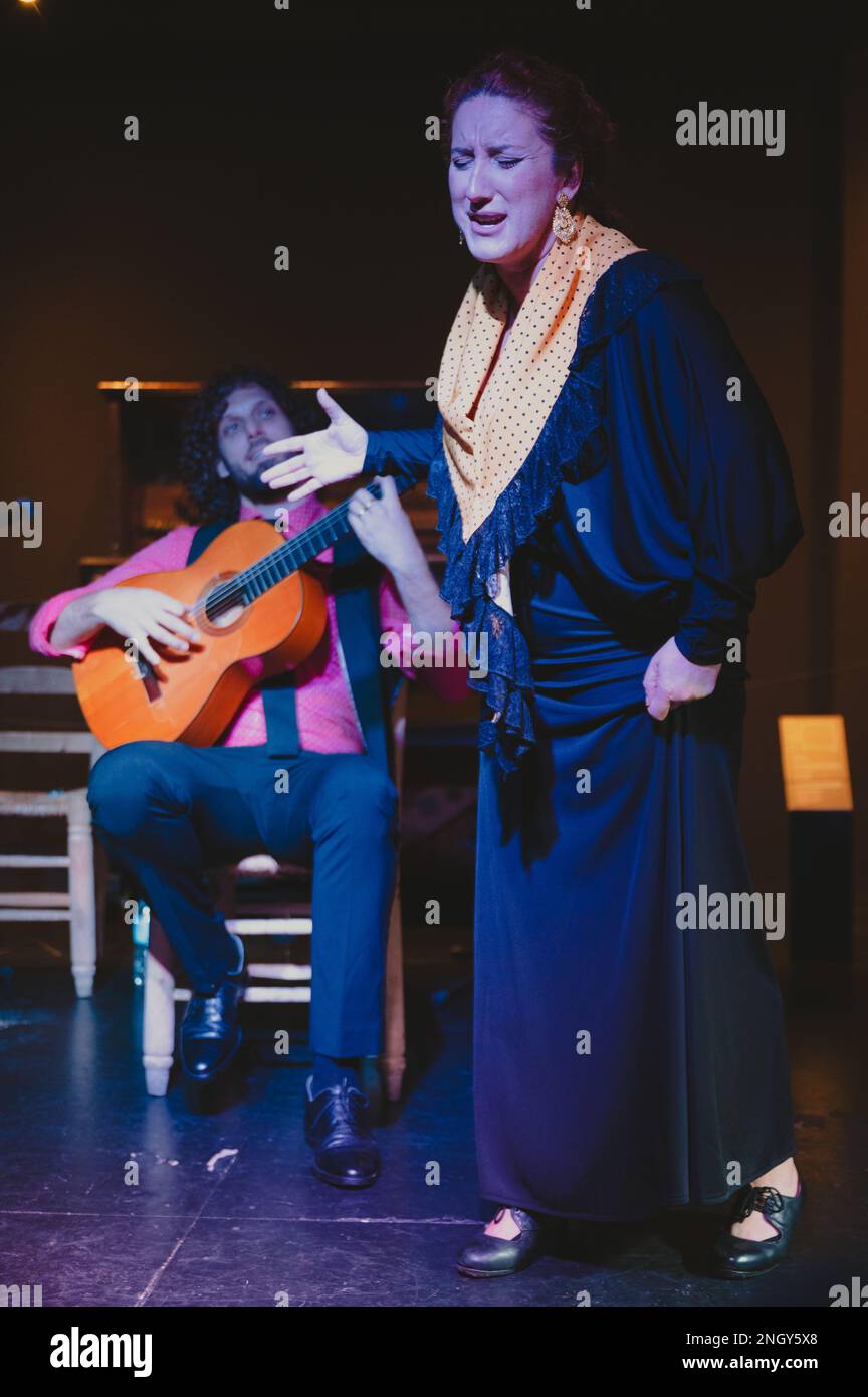 Malaga, Espagne - 15 janvier 2023: Spectacle de flamenco au musée interactif de la musique, photo a été faite lors de l'intermission spéciale pour prendre des photos Banque D'Images Malaga, Espagne - 15 janvier 2023: Spectacle de flamenco au musée interactif de la musique, photo a été faite lors de l'intermission spéciale pour prendre des photos Banque D'Images