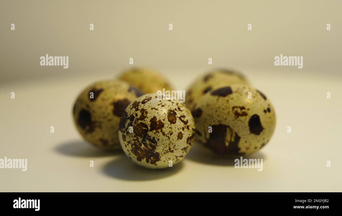 Œufs de caille à pois sur fond clair, produits naturels écologiques. Banque D'Images