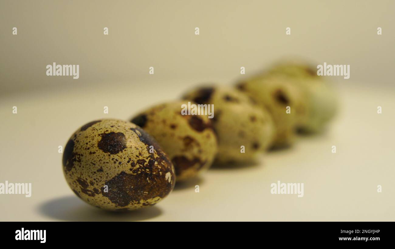 Œufs de caille à pois sur fond clair, produits naturels écologiques. Banque D'Images