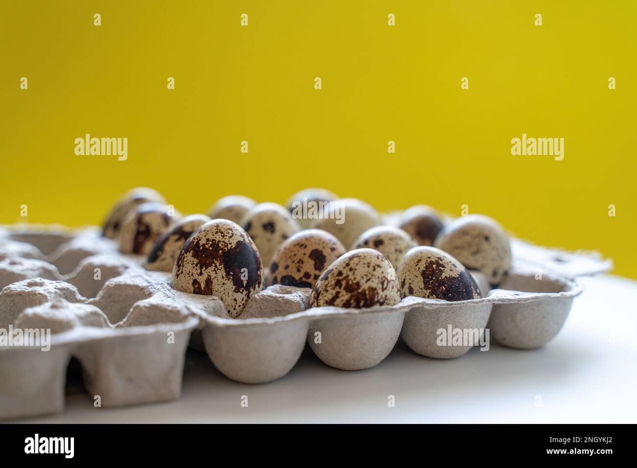 Œufs de caille tachetée dans une boîte à œufs sur fond jaune, produits écologiques naturels. Banque D'Images