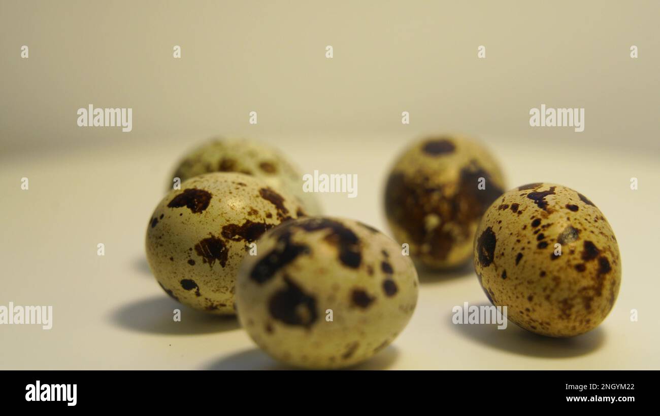 Œufs de caille à pois sur fond clair, produits naturels écologiques. Banque D'Images