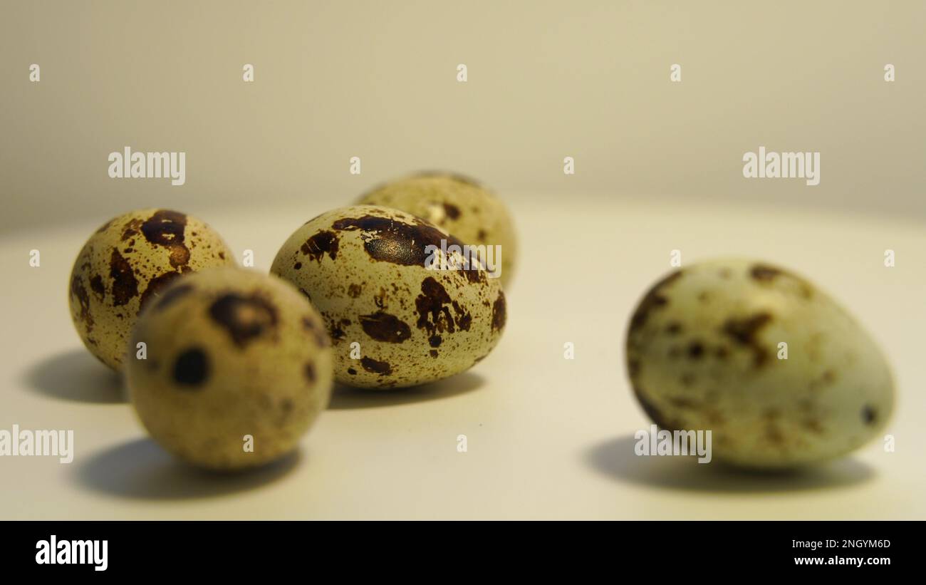 Œufs de caille à pois sur fond clair, produits naturels écologiques. Banque D'Images