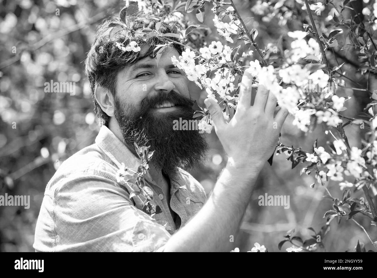 Agriculteur examinant la culture commune de figues dans la plantation ou le champ. Beau jeune homme sur fond de printemps regardant la caméra. Routine de jardinage de printemps. Banque D'Images