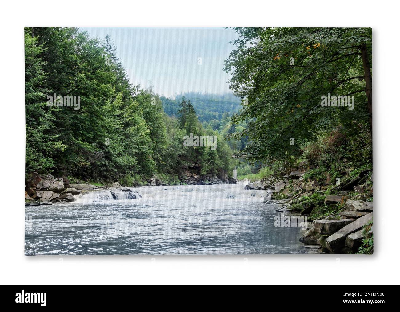 Photo imprimée sur toile, fond blanc. Rivière sauvage de montagne qui coule le long des rives rocheuses dans la forêt Banque D'Images