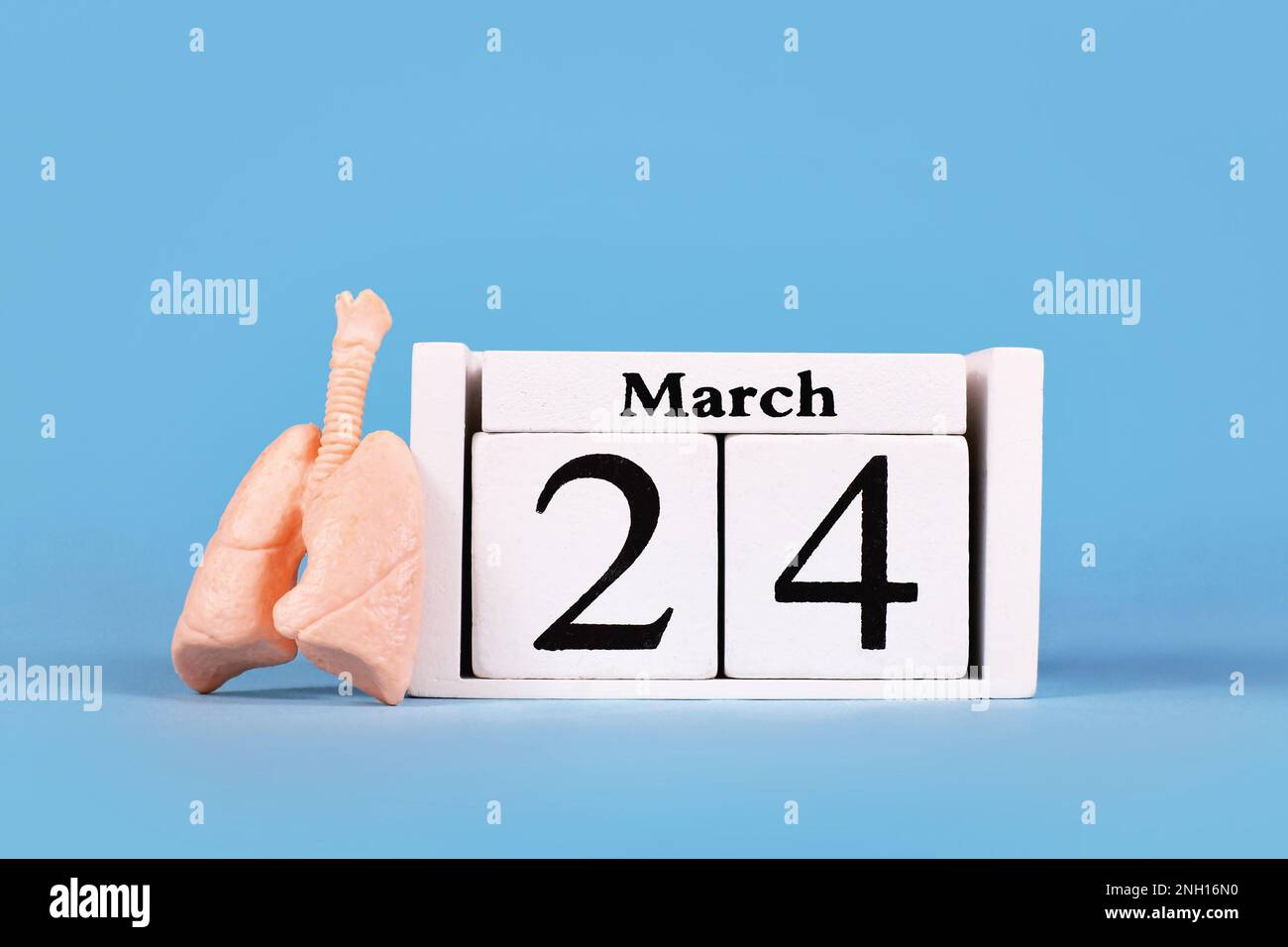 Concept de la Journée mondiale de la tuberculose avec modèle d'organe pulmonaire et calendrier avec date 24 mars Banque D'Images