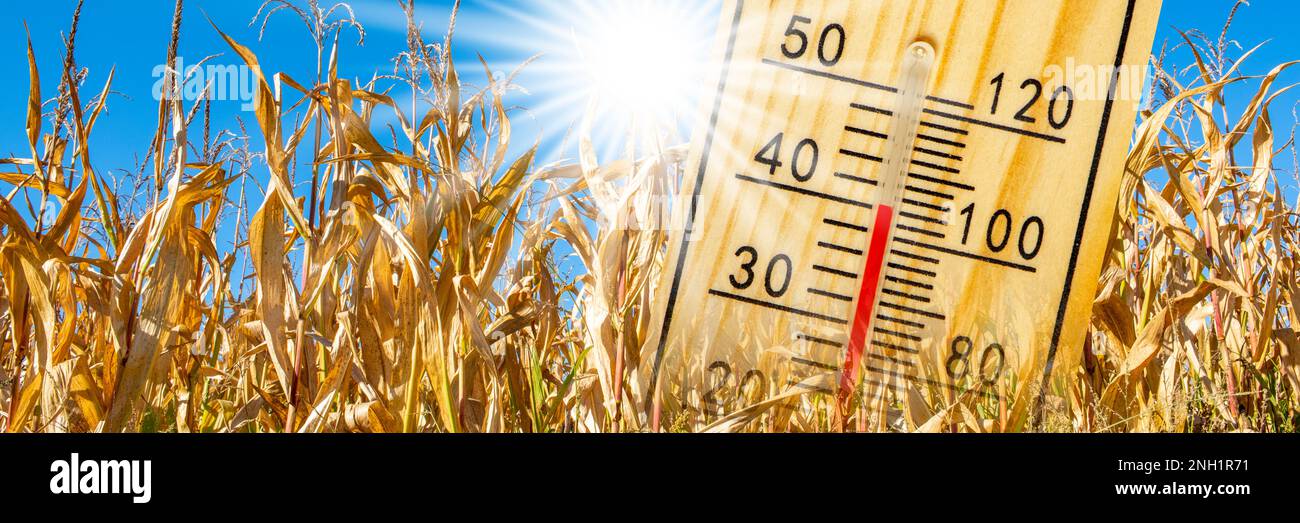 changement climatique avec chaleur et sécheresse Banque D'Images