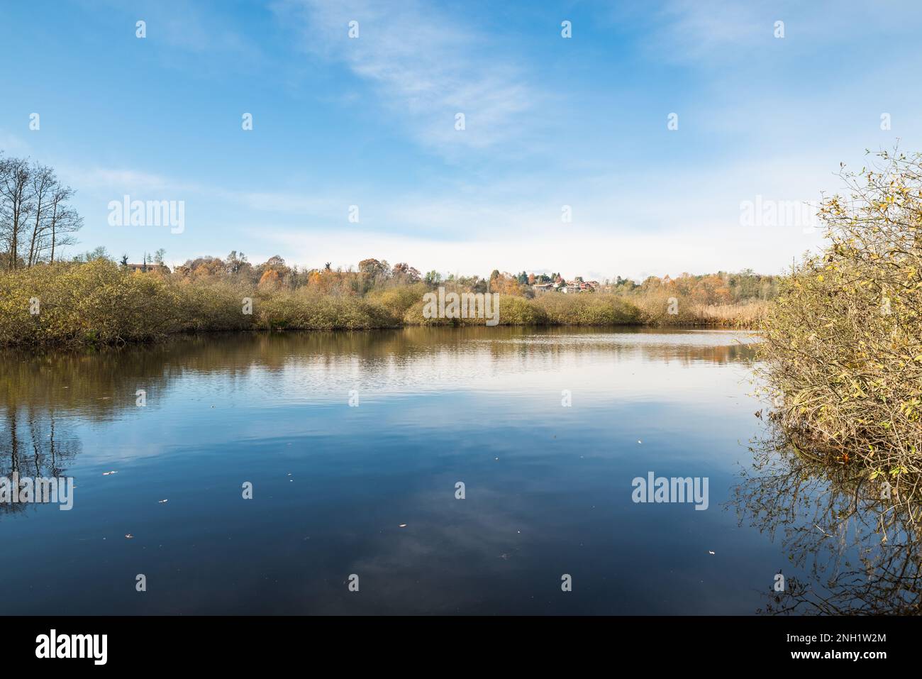 Réserve naturelle de Brabbia, Inarzo, Italie. Le marais de Brabbia (Palude Brabbia) est reconnu comme une zone humide d'importance internationale à partir de 1984 Banque D'Images