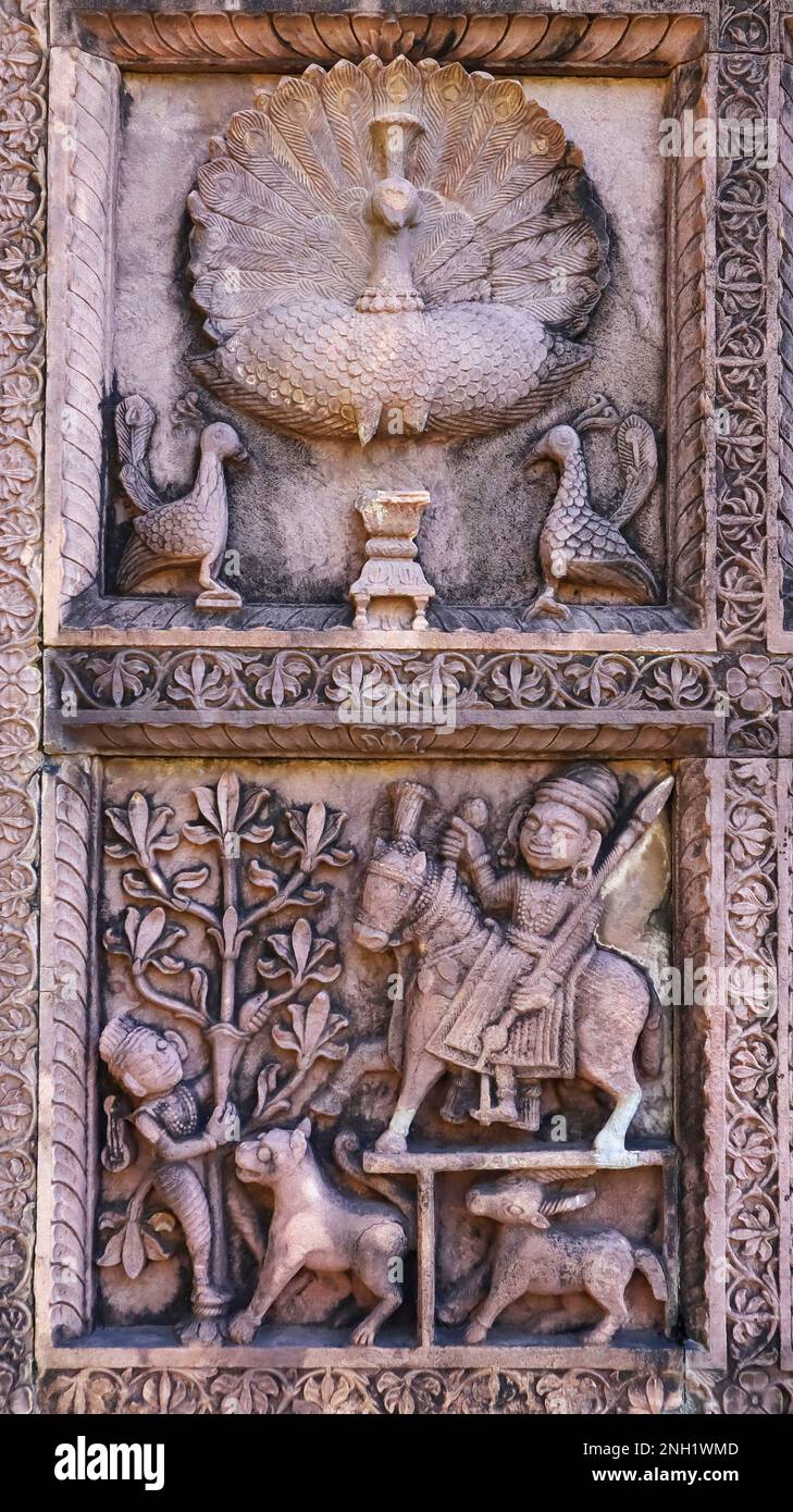 Sculpture de Peacock et de l'homme sur un cheval, Temple Sanka Shyamji, Rajgarh, Madhya Pradesh, Inde. Banque D'Images