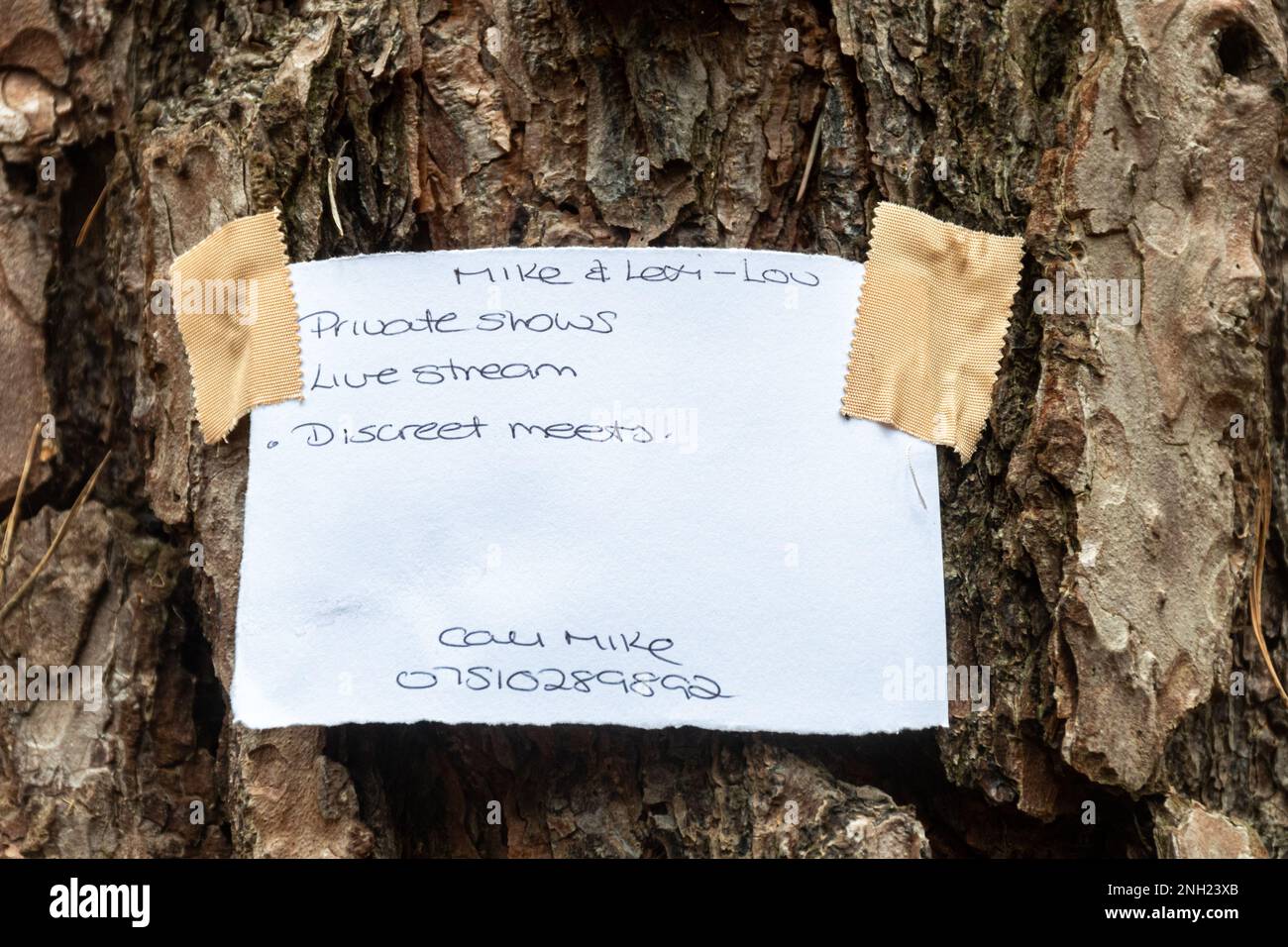 Note accrochée sur l'arbre dans la forêt sur la diffusion en direct de spectacles privés, de blogs, de rencontres sexuelles à l'extérieur, Surrey, Angleterre, ROYAUME-UNI Banque D'Images