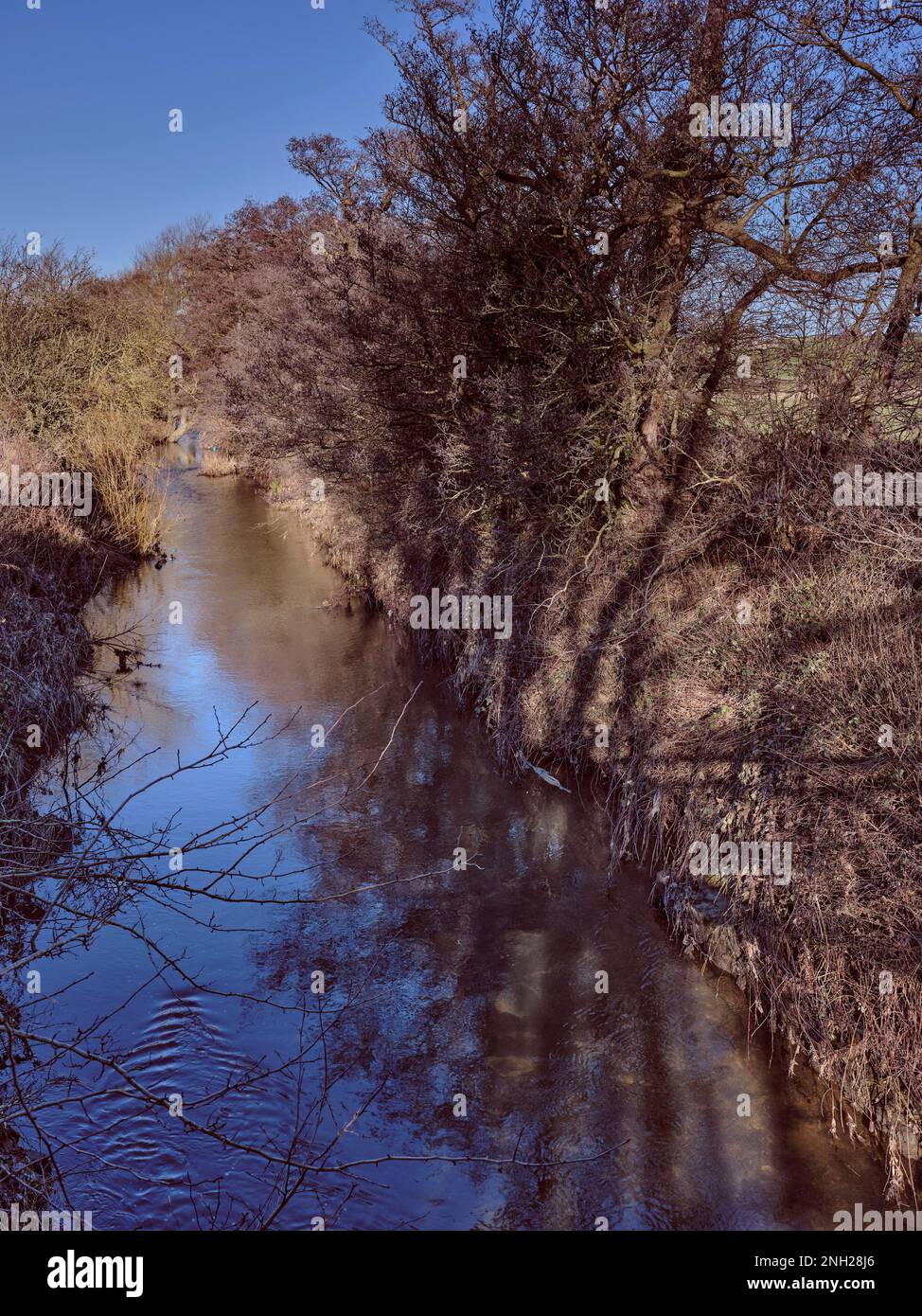 Vue en amont depuis une passerelle au-dessus de la Crimple River à Spofforth. Yorkshire du Nord Banque D'Images