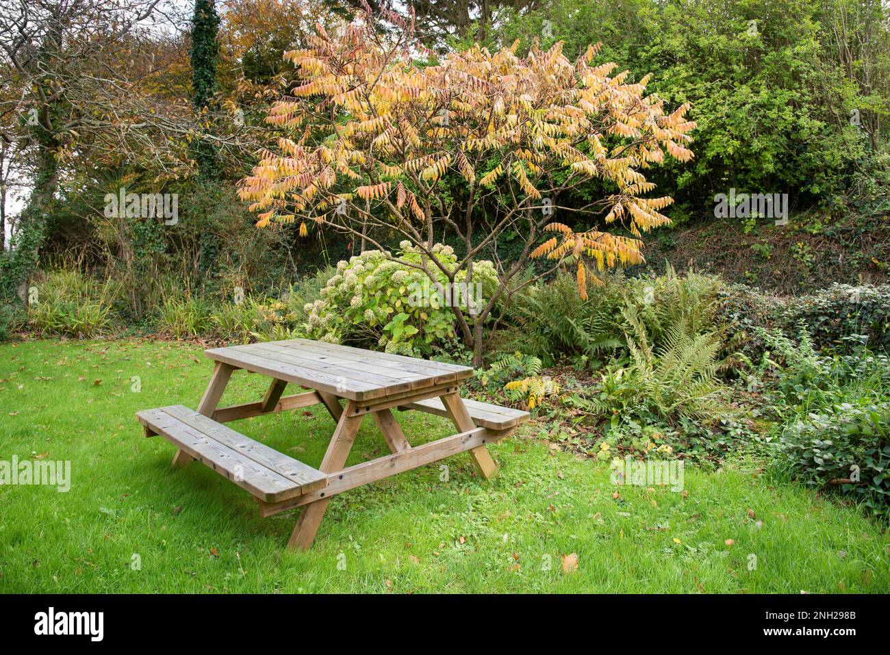 Une table de pique-nique dans un jardin à Newquay, en Cornouailles, au Royaume-Uni. Banque D'Images