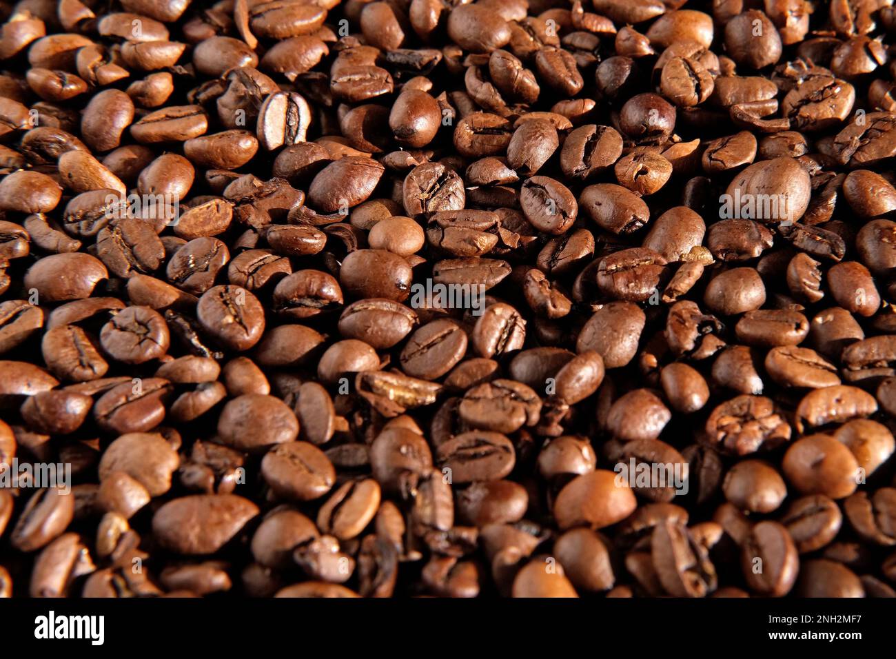 Fond de grains de café. Gros plan sur la texture des grains de café. Le café torréfié brun foncé tourne. Abondance. Concept pour la publicité des produits du café. S Banque D'Images