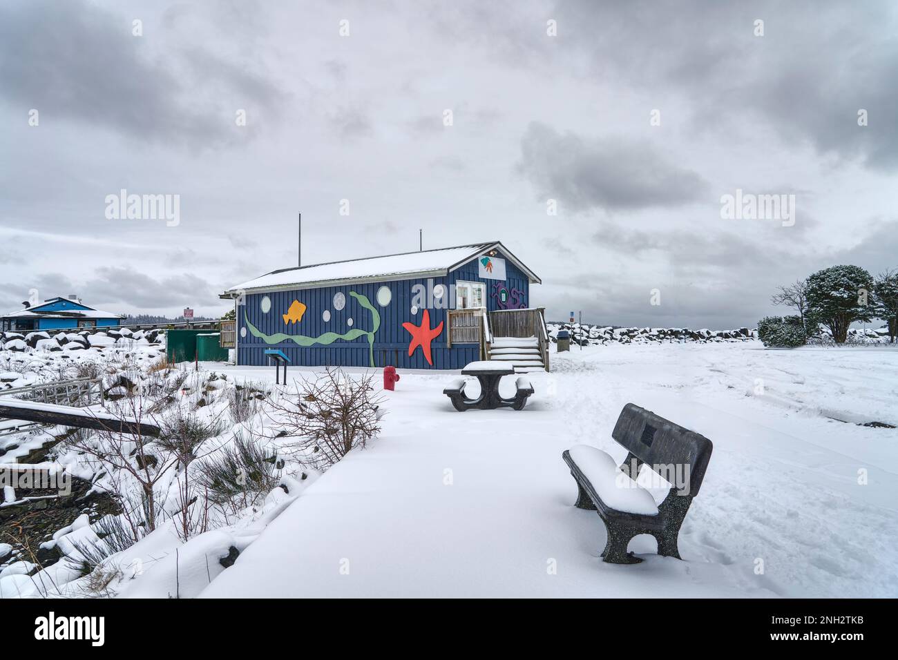 Le bleu Discovery passage Aquarium avec sa créature marine a couvert des murs et son parking couvert de neige et une table de pique-nique et un banc vides. Banque D'Images