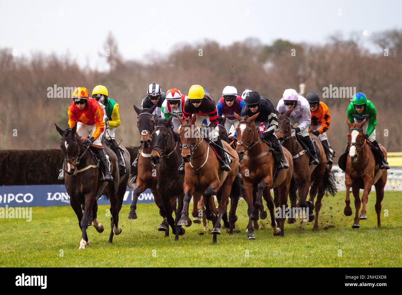 Ascot, Berkshire, Royaume-Uni. 20th février 2023. La course à plat ouverte de la chasse nationale EBF Mares au champ de courses d’Ascot sur le circuit de Betfair Ascot Chase Raceday. Crédit : Maureen McLean/Alay Banque D'Images