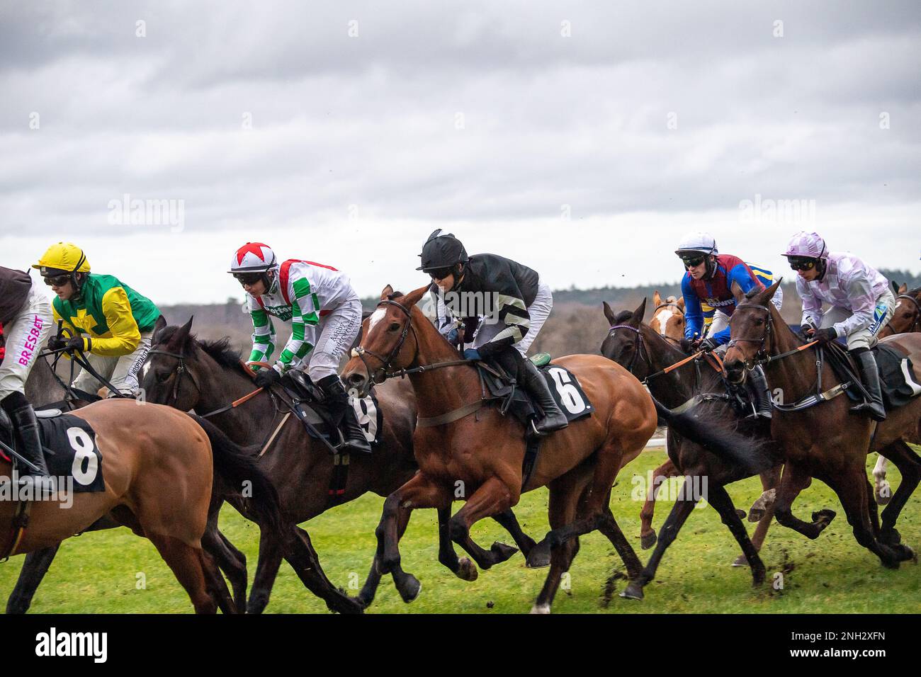 Ascot, Berkshire, Royaume-Uni. 20th février 2023. La course à plat ouverte de la chasse nationale EBF Mares au champ de courses d’Ascot sur le circuit de Betfair Ascot Chase Raceday. Crédit : Maureen McLean/Alay Banque D'Images