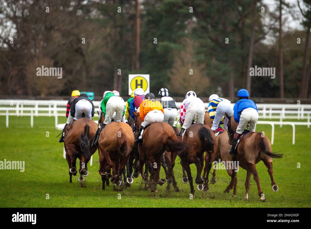 Ascot, Berkshire, Royaume-Uni. 20th février 2023. La course à plat ouverte de la chasse nationale EBF Mares au champ de courses d’Ascot sur le circuit de Betfair Ascot Chase Raceday. Crédit : Maureen McLean/Alay Banque D'Images