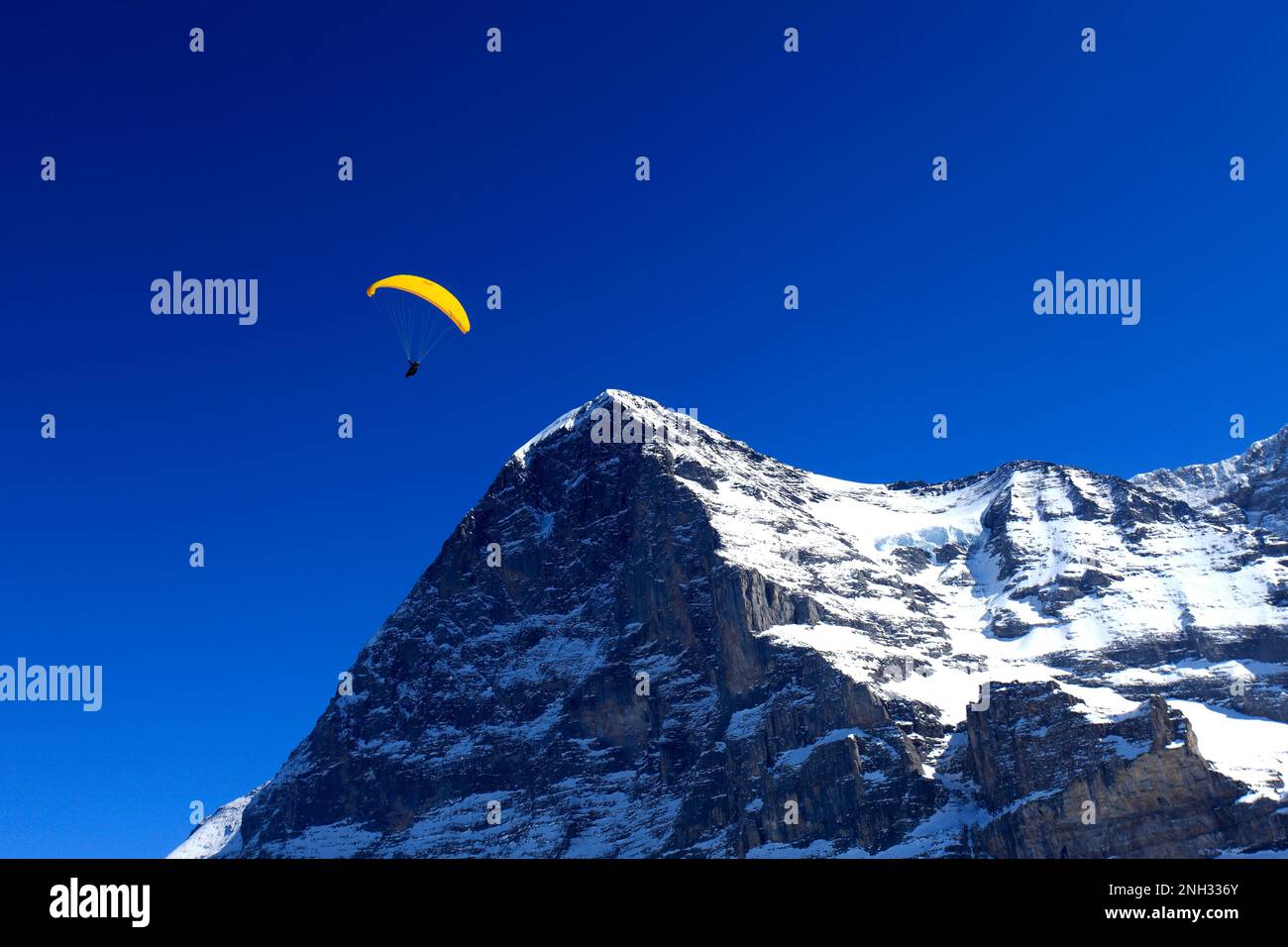 Parapente sur la face nord de la montagne Eiger, station de ski de Grindelwald; Alpes suisses, Jungfrau - Aletsch; Oberland bernois; Suisse; Europe Banque D'Images