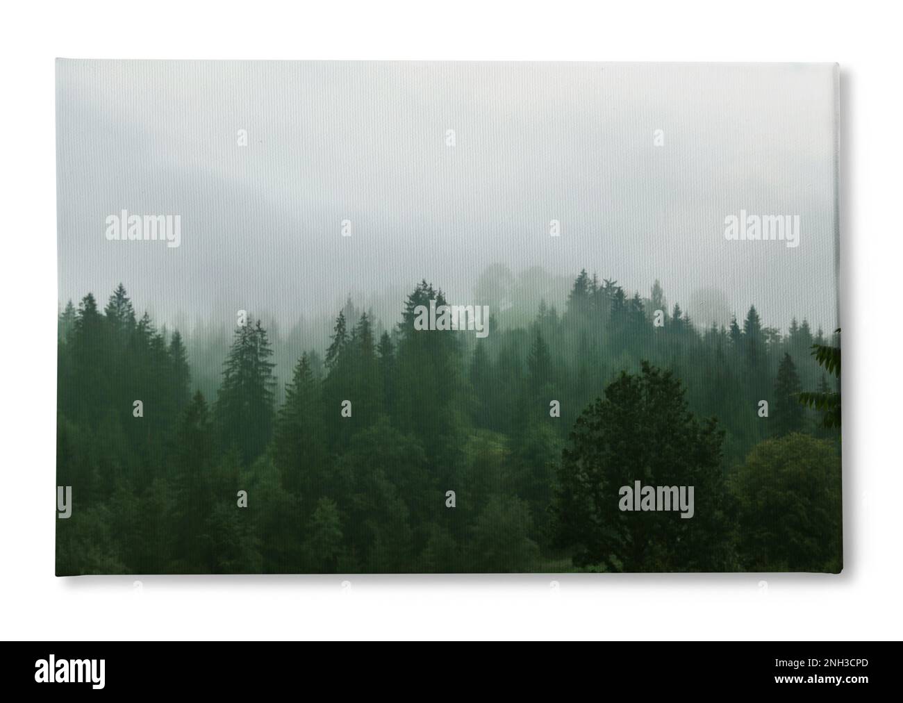 Photo imprimée sur toile, fond blanc. Vue pittoresque sur la forêt montagneuse le matin Banque D'Images