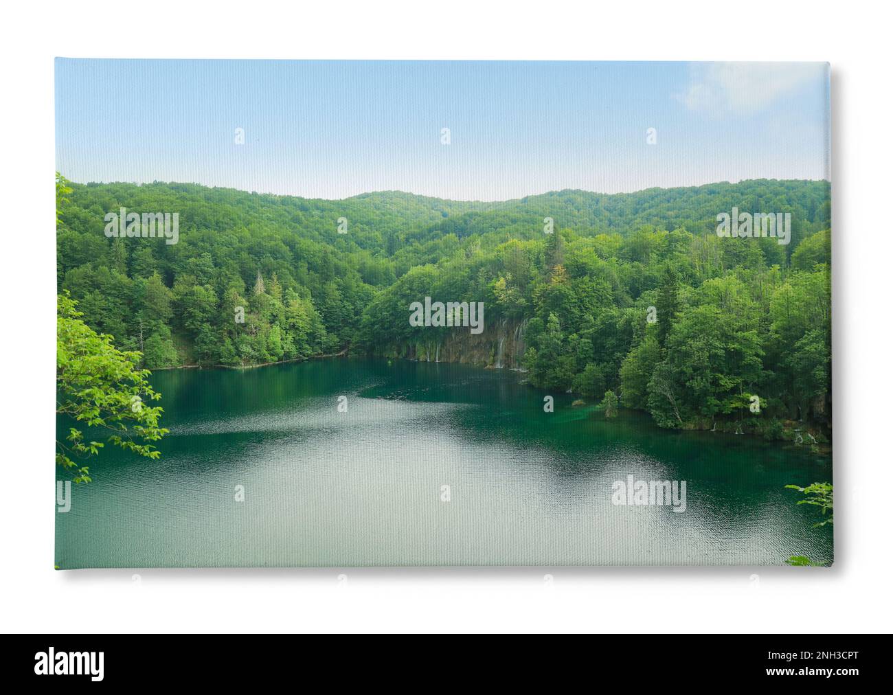Photo imprimée sur toile, fond blanc. Vue pittoresque sur la belle rivière et la forêt par temps ensoleillé Banque D'Images