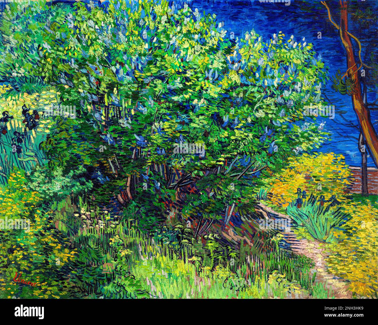 Le Lilac Bush de Vincent van Gogh (1889) célèbre peinture de paysage. Original de Wikimedia Commons. Banque D'Images