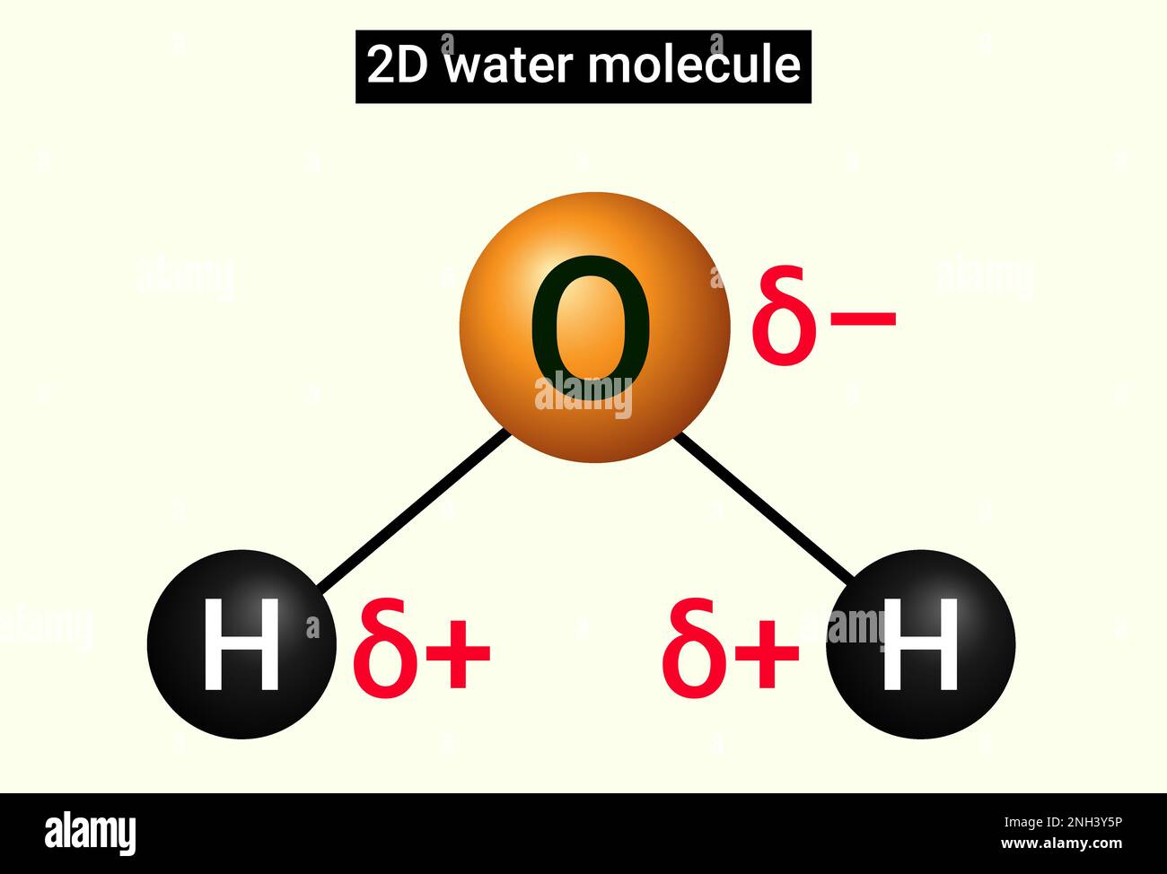 2D structure de molécule d'eau avec charges Illustration de Vecteur