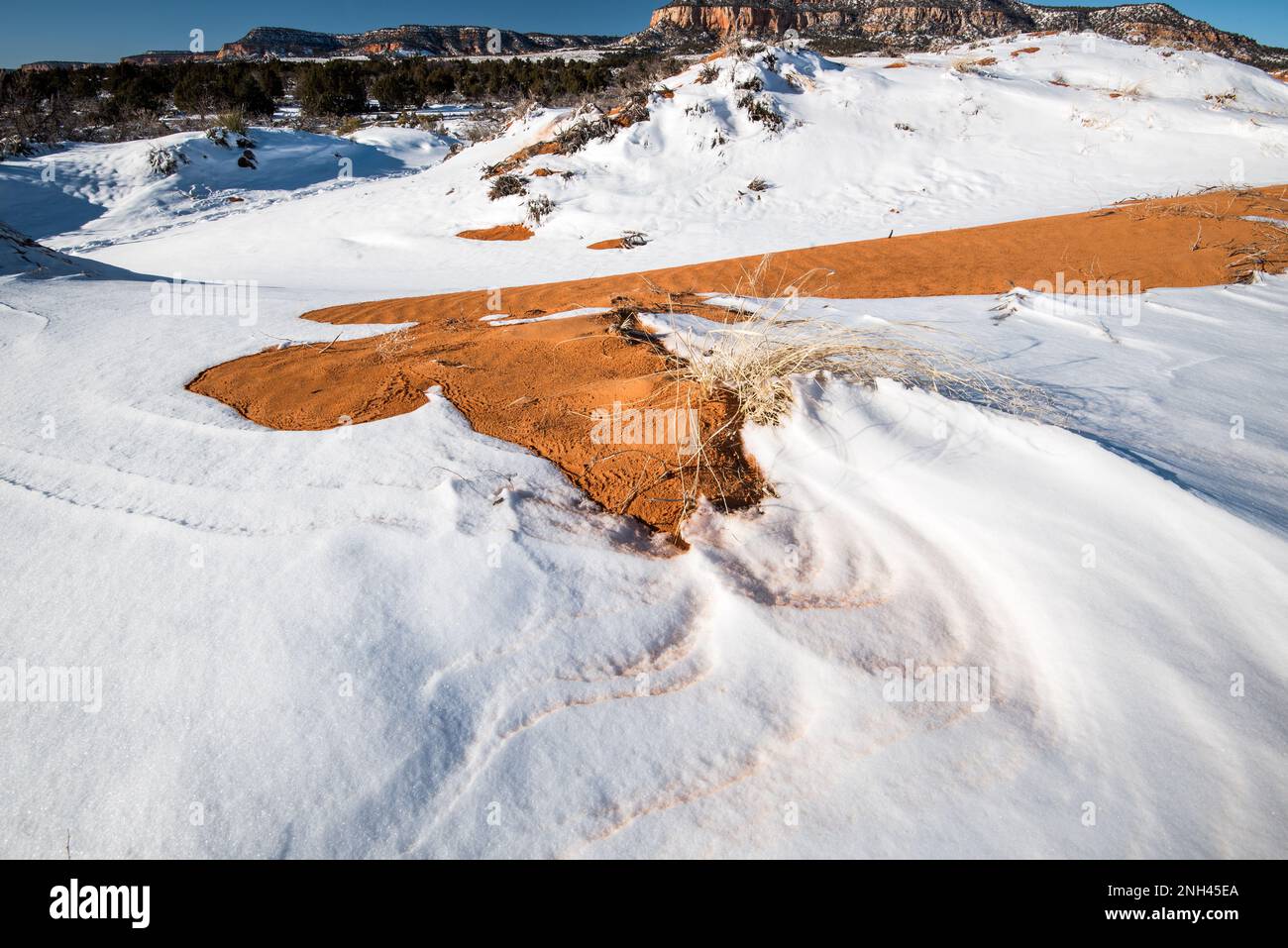 Neige sur les dunes de sable rose corail. La neige qui souffle et le sable qui coule créent de magnifiques motifs sur le paysage désertique. Banque D'Images