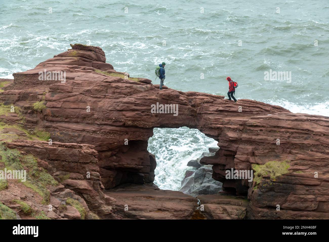 Les gens qui marchent au-dessus de l'arche de l'aiguille E'e une grotte de mer effondrée près d'Arbroath, Angus, Écosse Banque D'Images