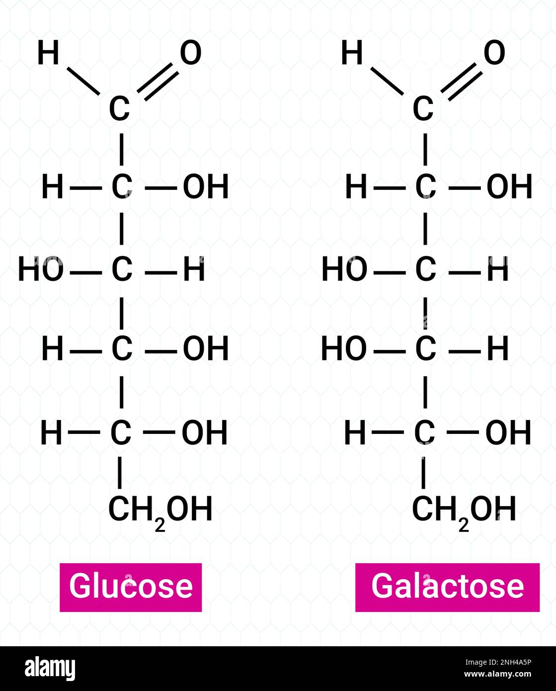Structure chimique du glucose et du galactose Illustration de Vecteur