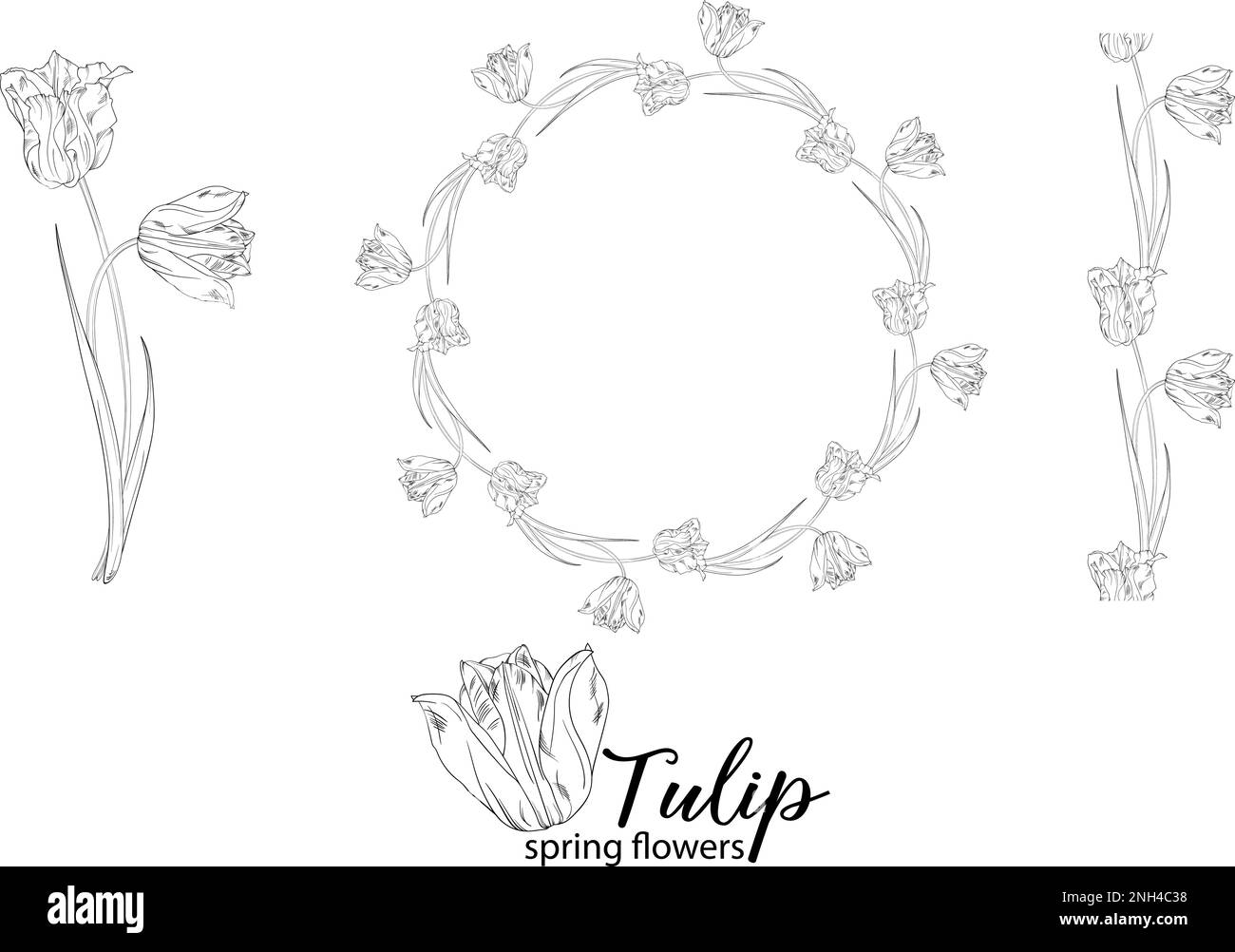 Arrangements floraux graphiques avec fleurs tulipes. Fleurs de printemps. Illustration de Vecteur
