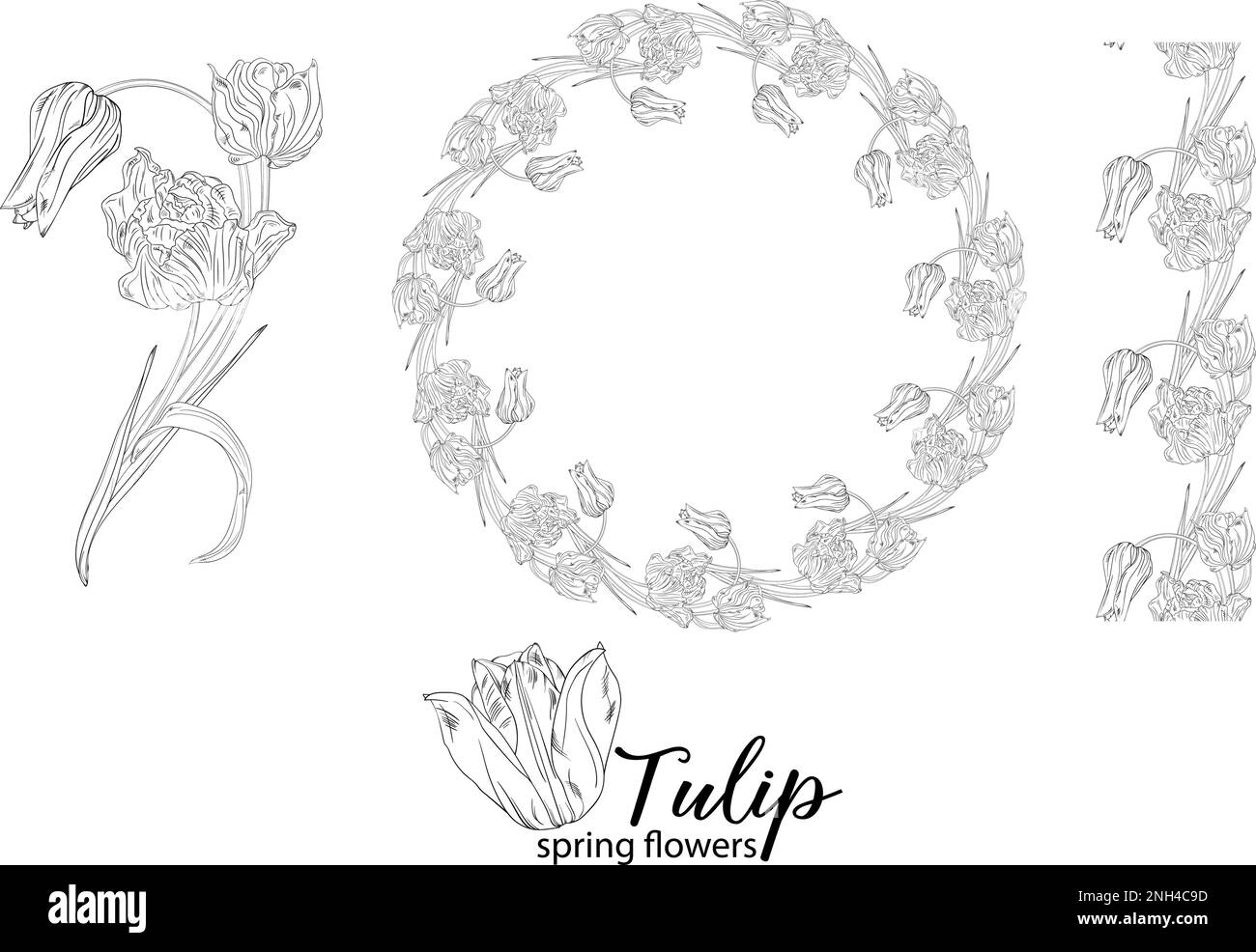 Arrangements floraux graphiques avec fleurs tulipes. Fleurs de printemps. Illustration de Vecteur Arrangements floraux graphiques avec fleurs tulipes. Fleurs de printemps. Illustration de Vecteur