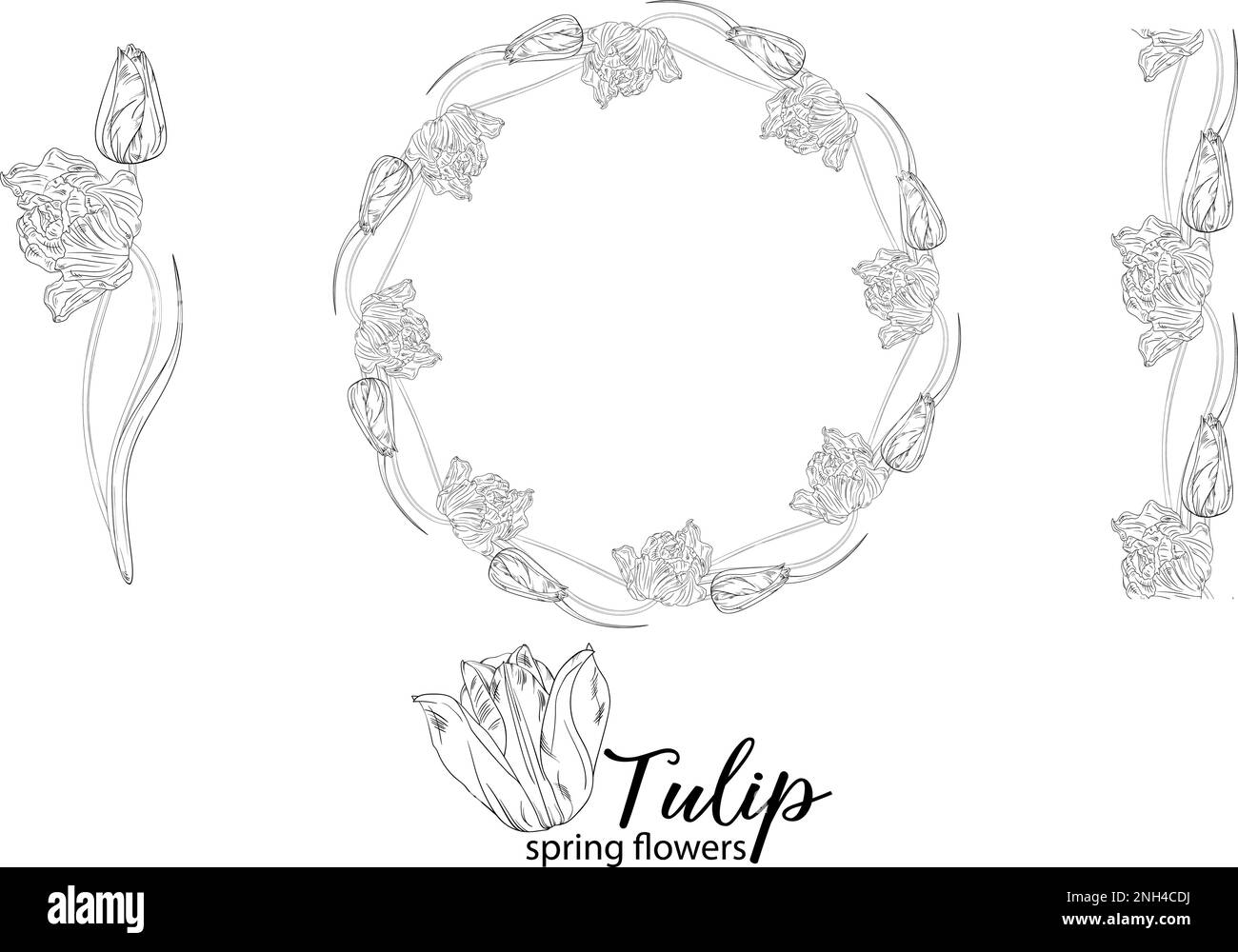 Arrangements floraux graphiques avec fleurs tulipes. Fleurs de printemps. Illustration de Vecteur