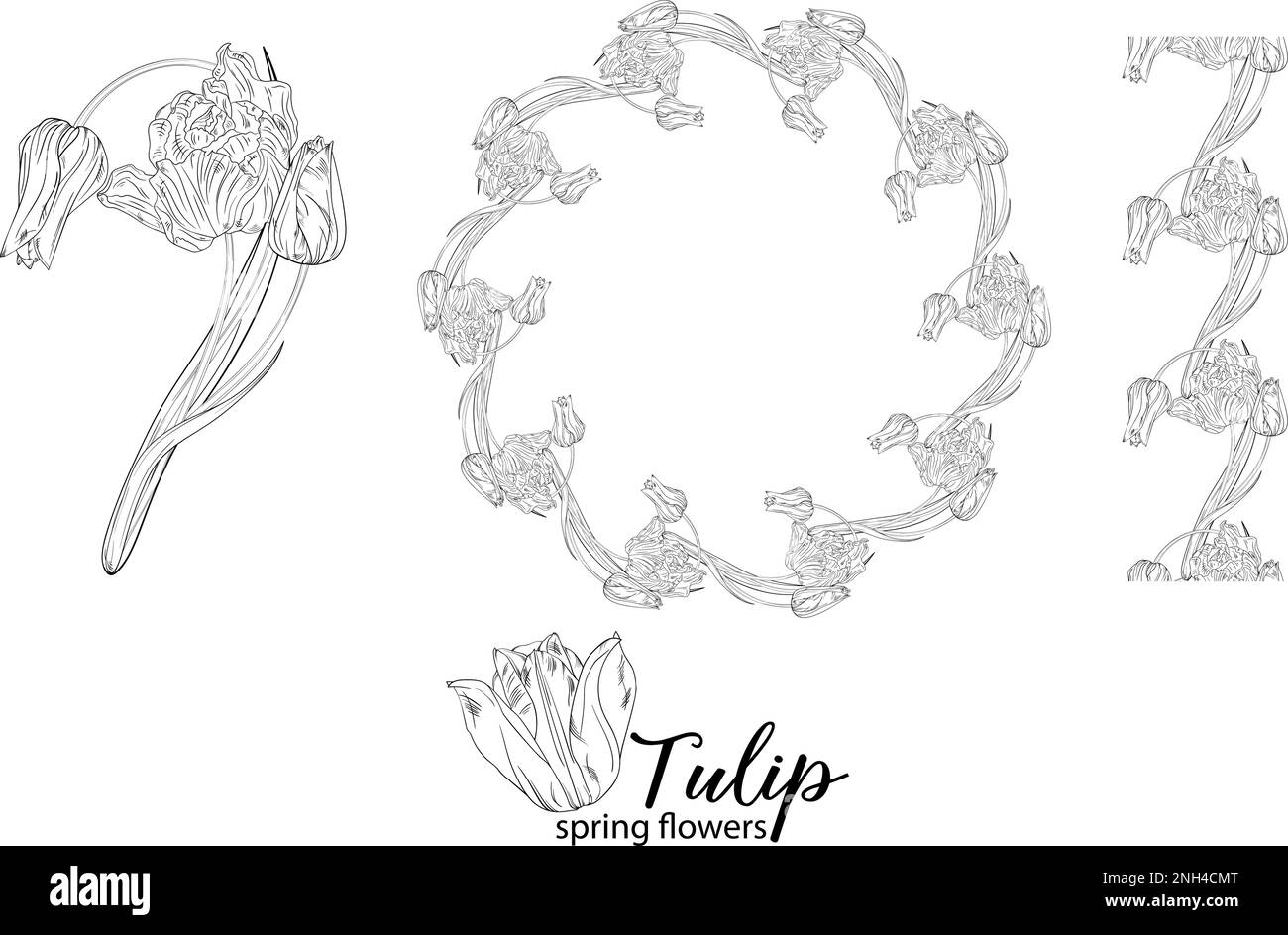 Arrangements floraux graphiques avec fleurs tulipes. Fleurs de printemps. Illustration de Vecteur Arrangements floraux graphiques avec fleurs tulipes. Fleurs de printemps. Illustration de Vecteur