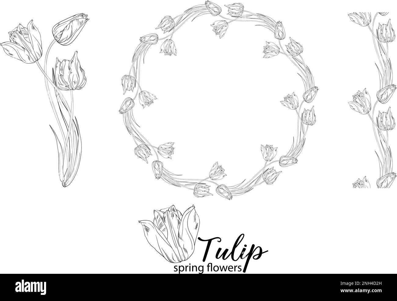 Arrangements floraux graphiques avec fleurs tulipes. Fleurs de printemps. Illustration de Vecteur Arrangements floraux graphiques avec fleurs tulipes. Fleurs de printemps. Illustration de Vecteur