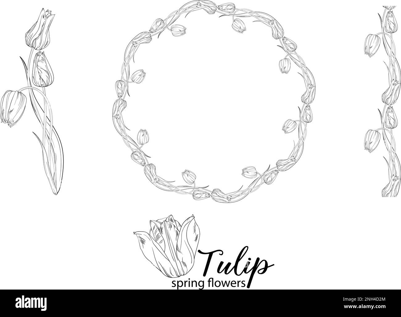 Arrangements floraux graphiques avec fleurs tulipes. Fleurs de printemps. Illustration de Vecteur