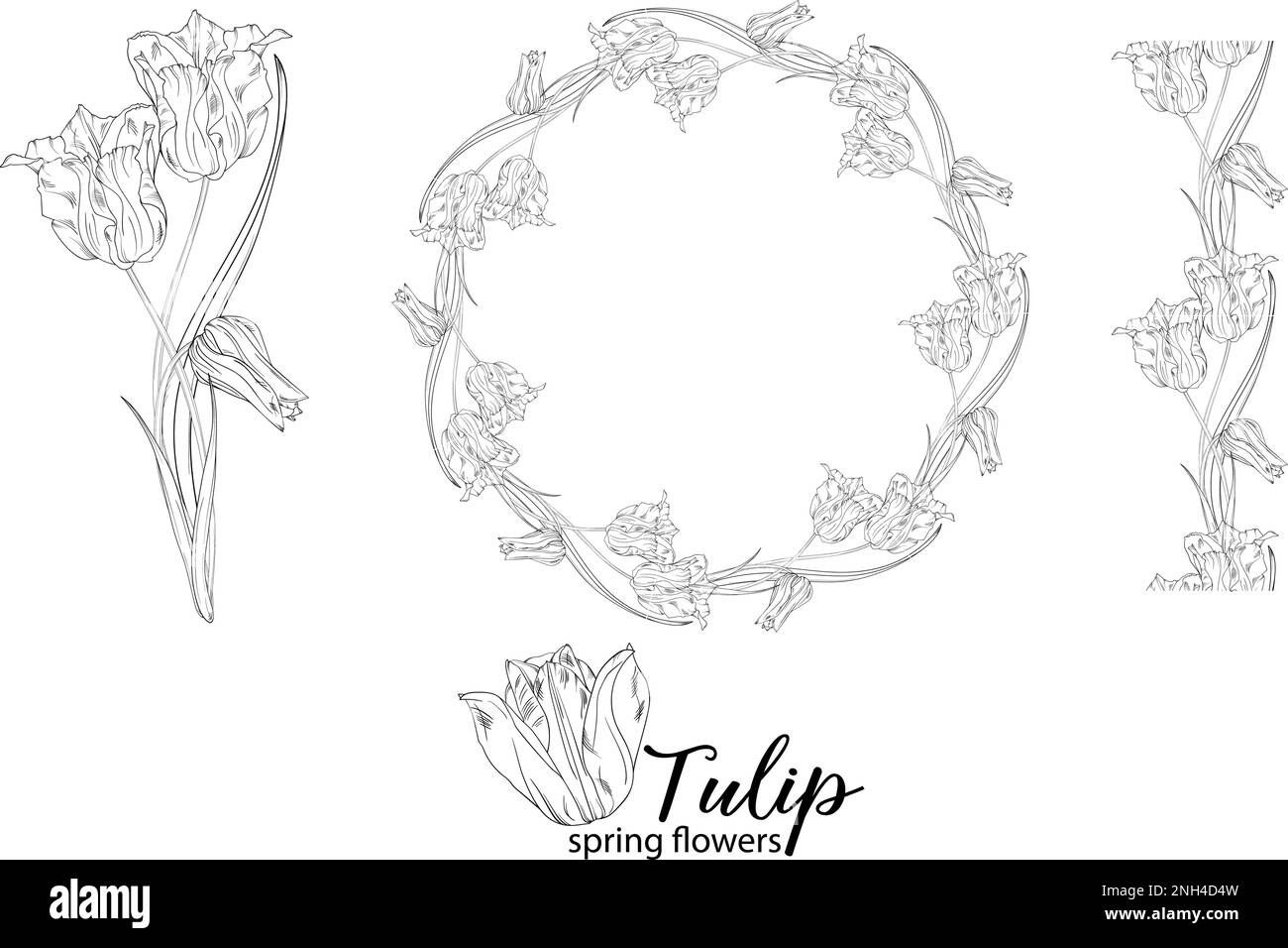 Arrangements floraux graphiques avec fleurs tulipes. Fleurs de printemps. Illustration de Vecteur Arrangements floraux graphiques avec fleurs tulipes. Fleurs de printemps. Illustration de Vecteur