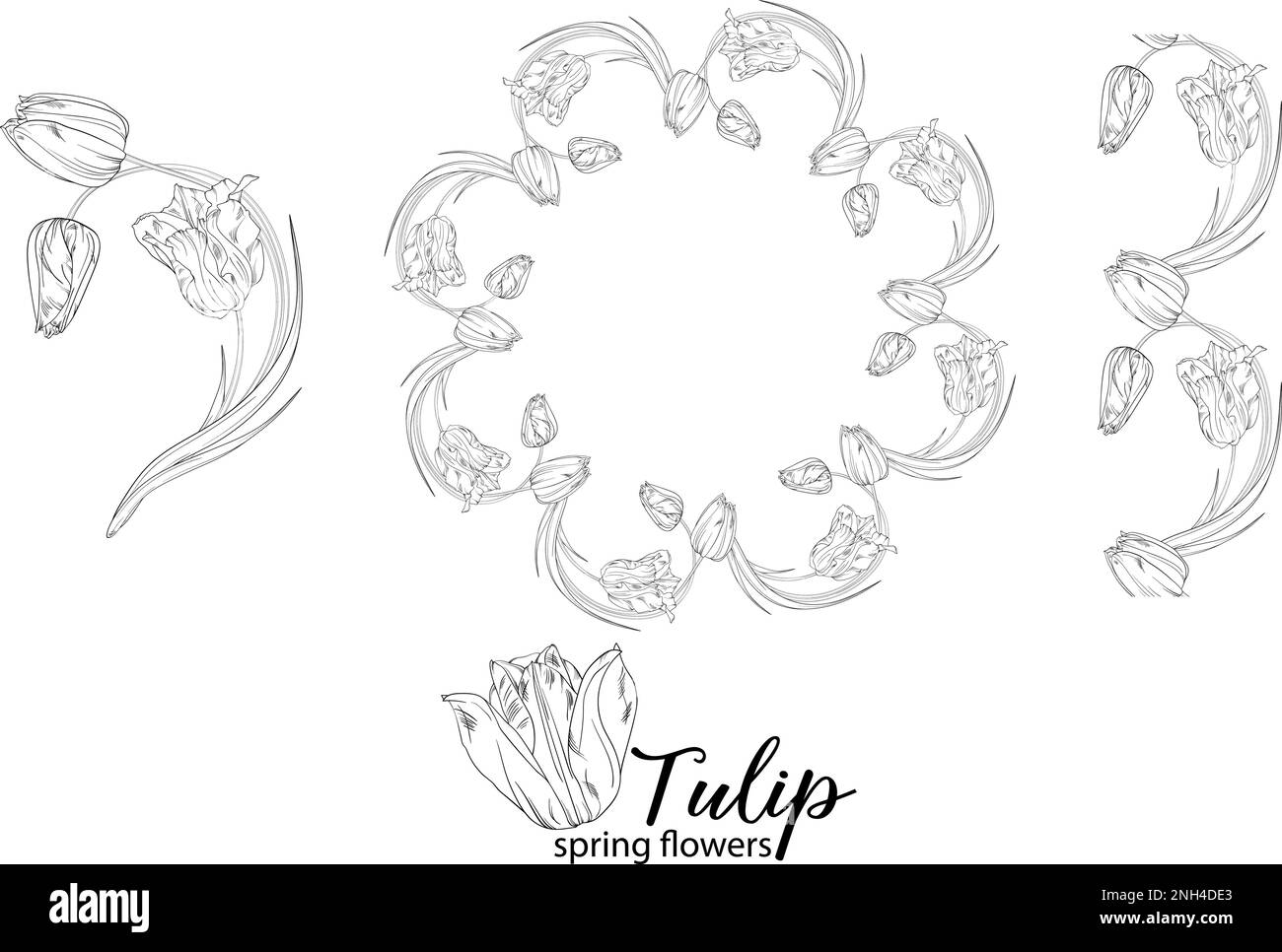 Arrangements floraux graphiques avec fleurs tulipes. Fleurs de printemps. Illustration de Vecteur