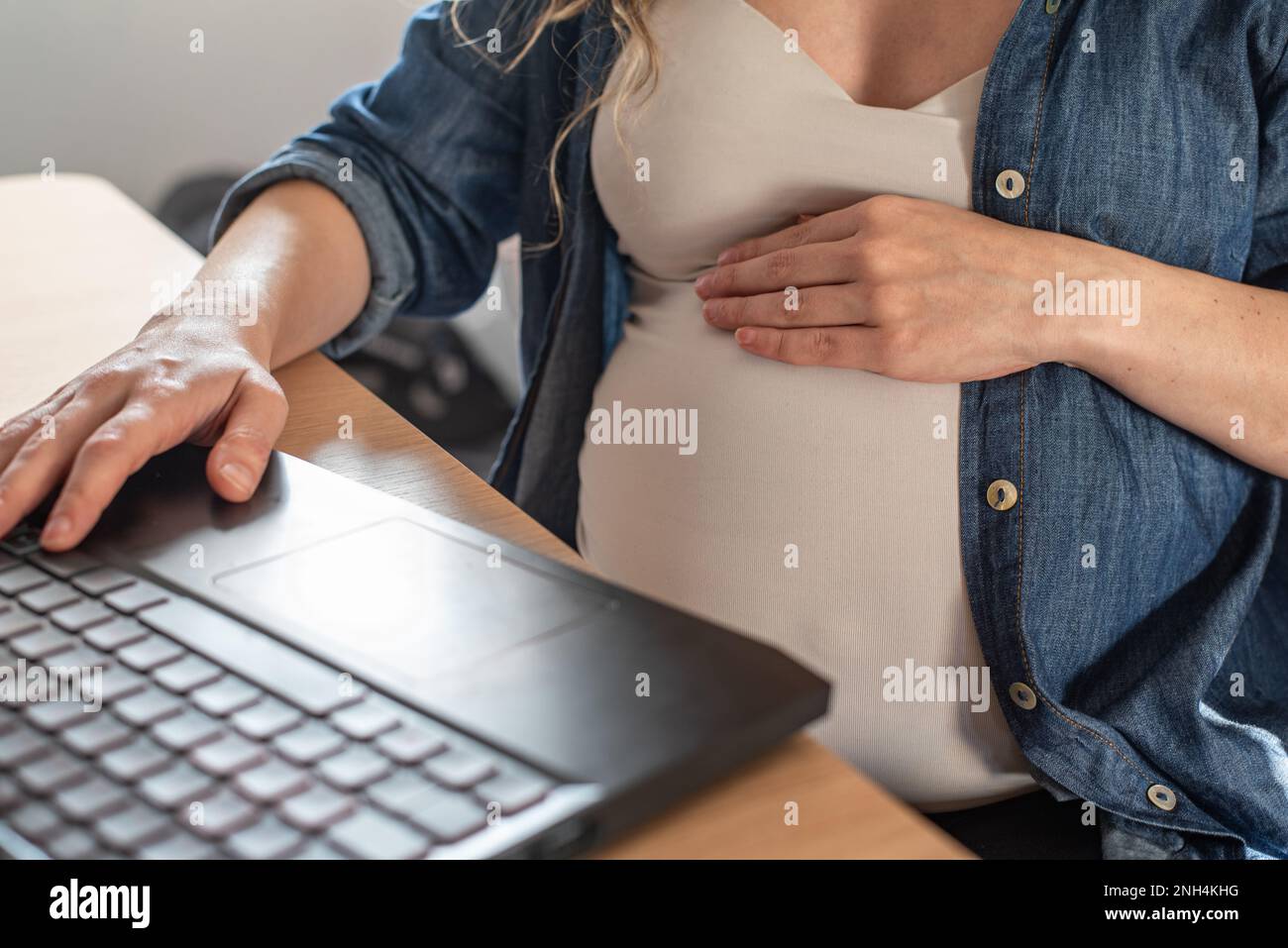 femme enceinte travaillant sur un ordinateur portable à la maison Banque D'Images