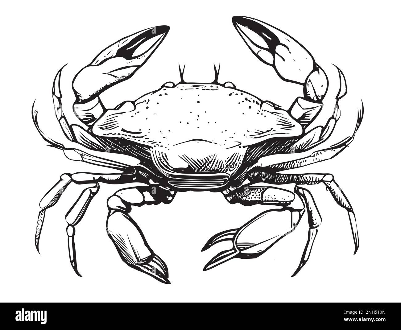 Dessin de crabe dessiné à la main illustration animaux de mer Illustration de Vecteur