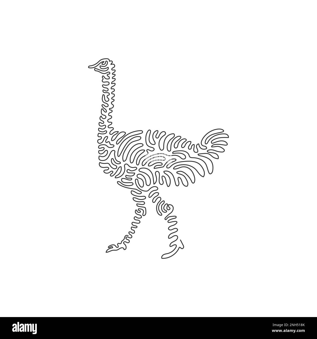 Une seule ligne dessinant l'art abstrait de l'autruche qui petite tête. Dessin en ligne continue dessin graphique dessin vectoriel illustration de l'oiseau le plus grand d'autruche Illustration de Vecteur