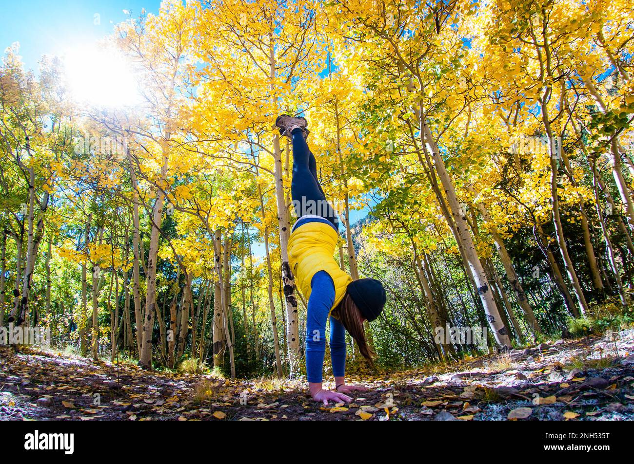 Jeunes femmes faisant du yoga dans la forêt Banque D'Images