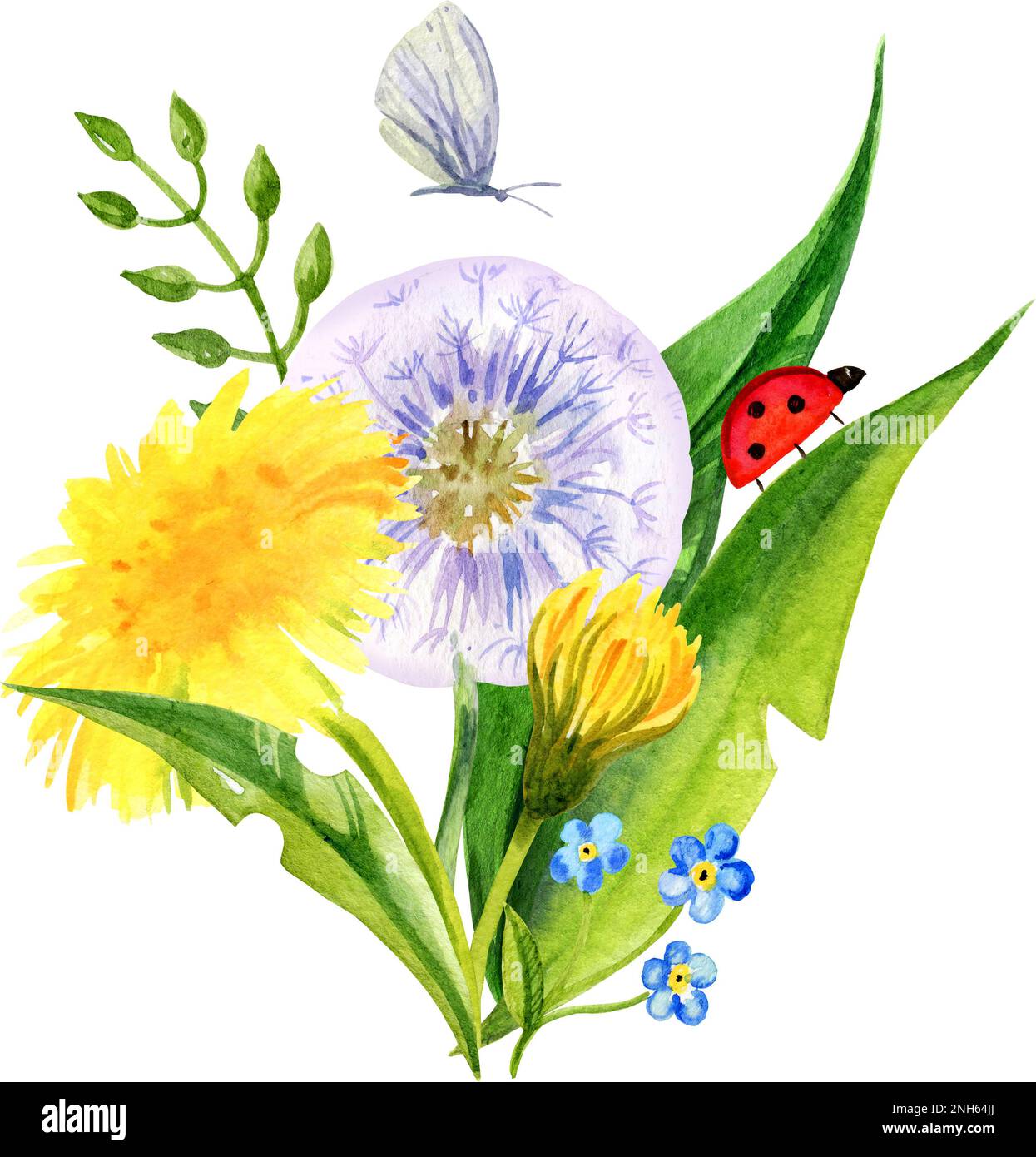 composition des fleurs de champ d'aquarelle, dessin à la main, fleurs d'été, feuilles et graines de pissenlit. Fleurs jaunes et vertes et herbe avec coccinelle Banque D'Images