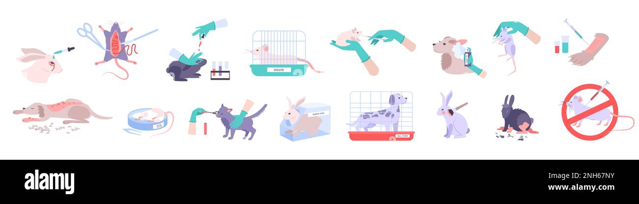 Icônes de test animal avec symboles d'expérience illustration vectorielle isolée plate Illustration de Vecteur