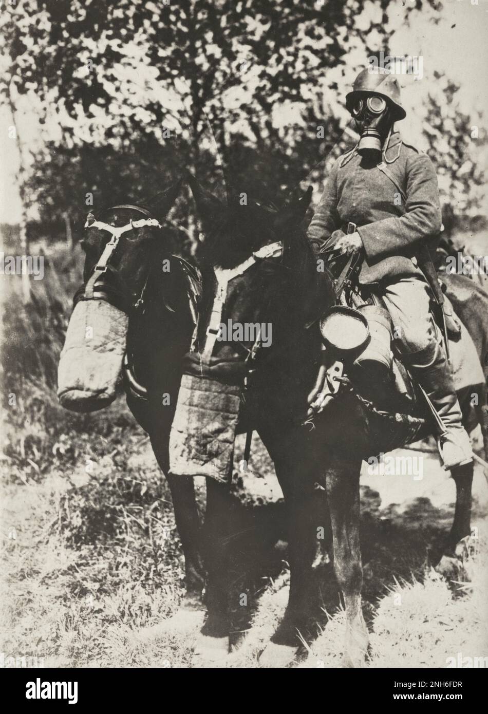 Uniformes de la première guerre mondiale Banque de photographies et d’images à haute résolution