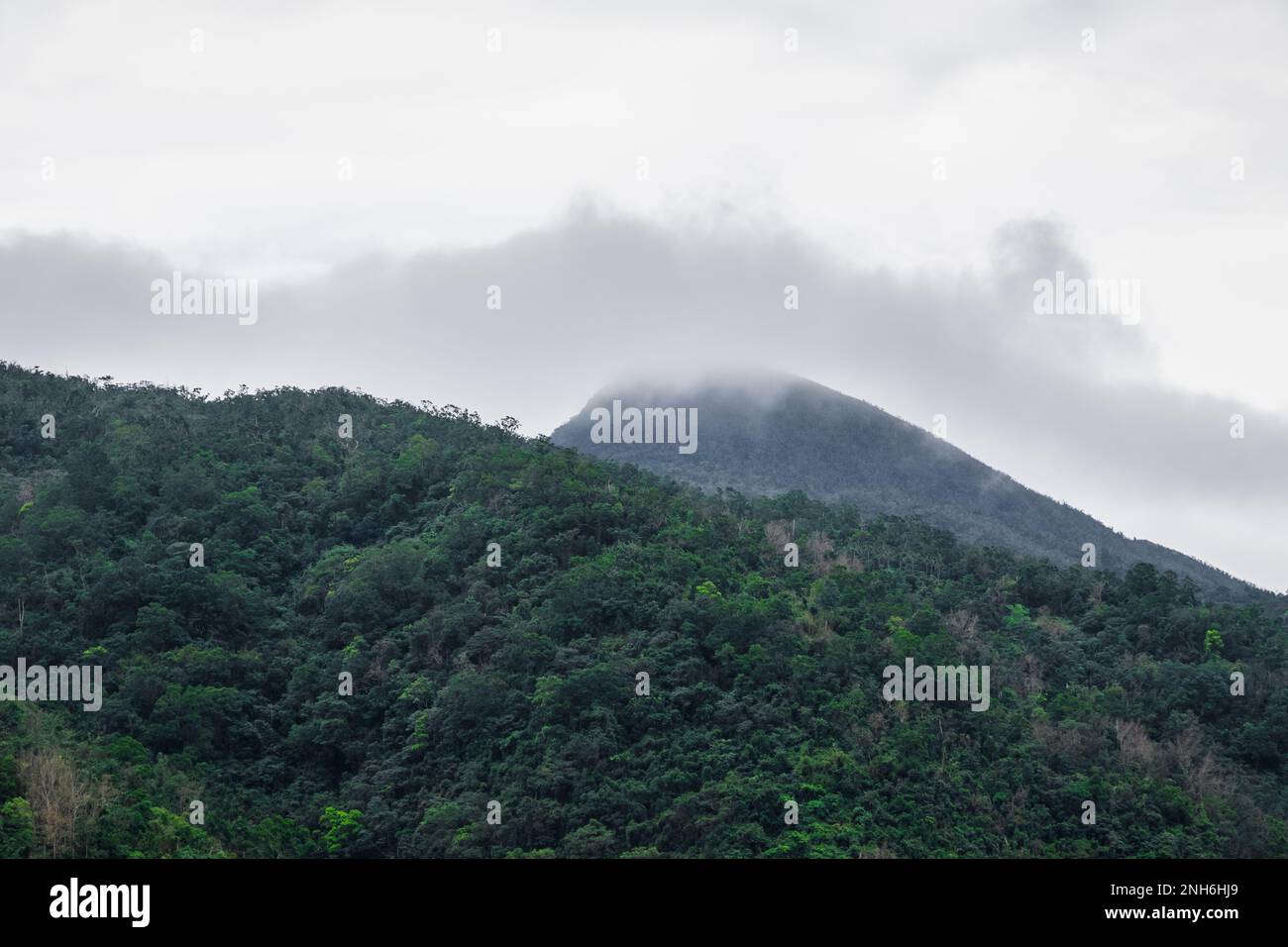 Pic de montagne dans le nuage et le brouillard, une partie de la chaîne de Xueshan dans le canton de Jiaoxi, Yilan, Taïwan Banque D'Images