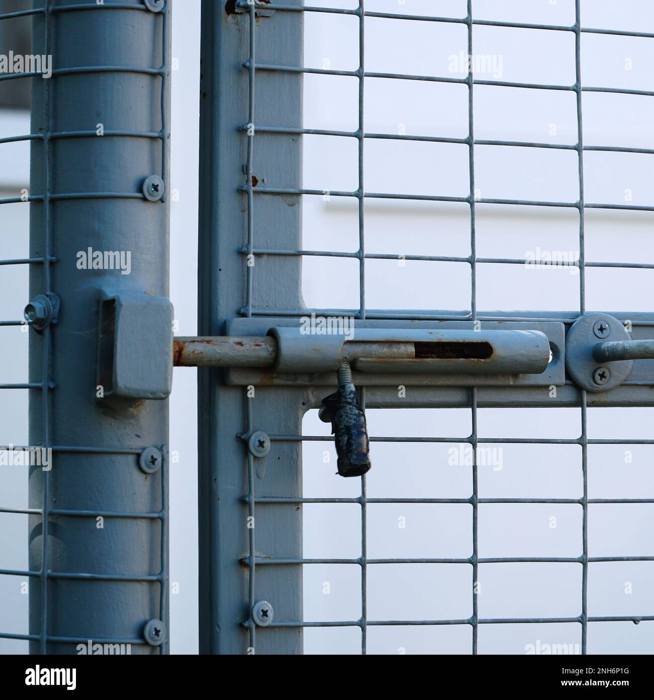 Loquet en métal sur la clôture en treillis dans l'arrière-cour Banque D'Images