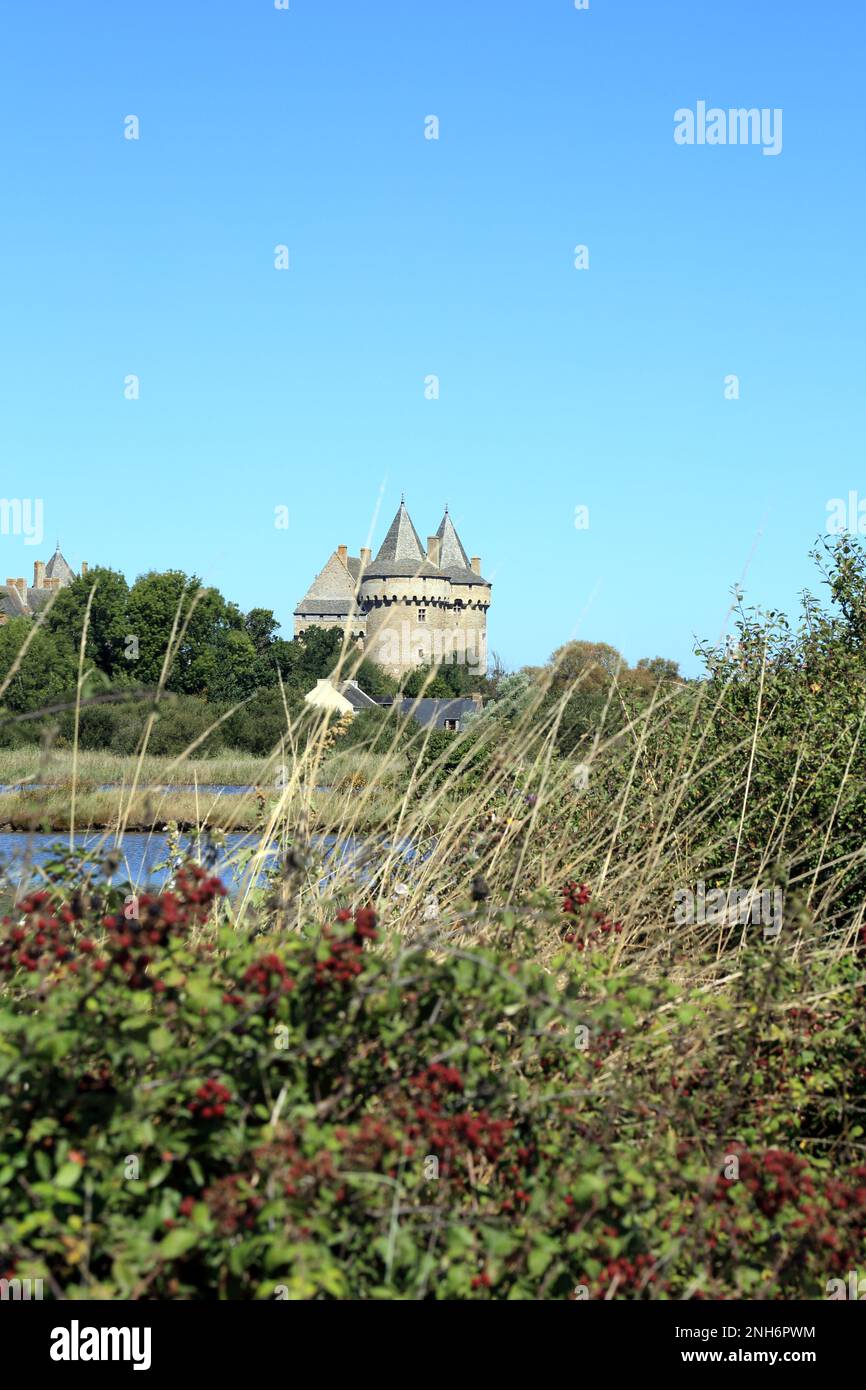 Château de Suscinio, chemin Lousaou, Suscinio, Morbihan, Bretagne, France Banque D'Images