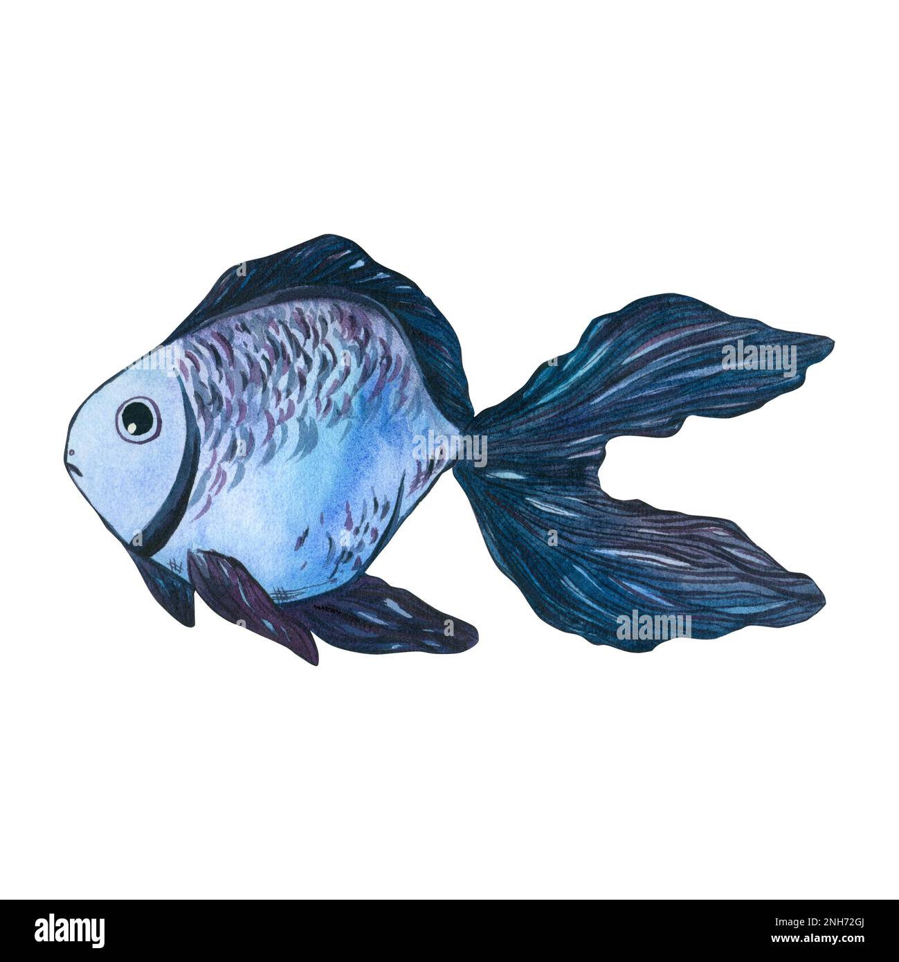 Aquarelle illustration d'un poisson bleu marin , isolat sur fond blanc.elle est adaptée à l'impression, l'emballage, la vaisselle, cartes postales, affaires c Banque D'Images