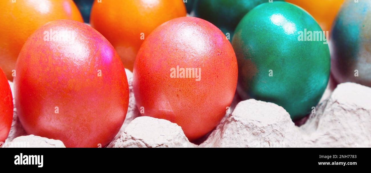 Œufs de Pâques aux couleurs vives dans un porte-boîte à œufs, arrière-plan de la bannière des fêtes Banque D'Images